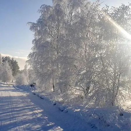 Ostoja Bukowo 12,2 U Szoltesa 別荘 Borowy Młyn