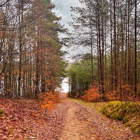Ostoja Bukowo 12,2 U Szoltesa 別荘 *
