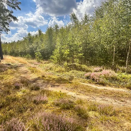 別荘 Ostoja Bukowo 12,2 U Szoltesa *