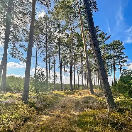 Ostoja Bukowo 12,2 U Szoltesa Borowy Młyn