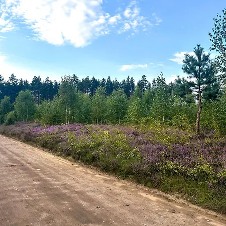 別荘 Ostoja Bukowo 12,2 U Szoltesa *