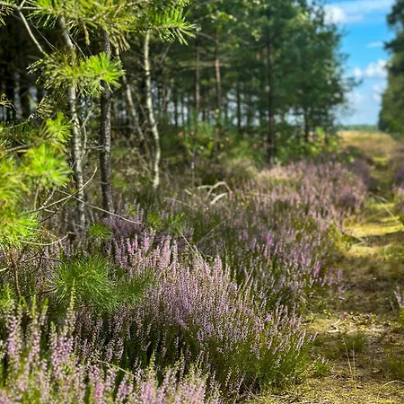 Ostoja Bukowo 12,2 U Szoltesa * Borowy Młyn