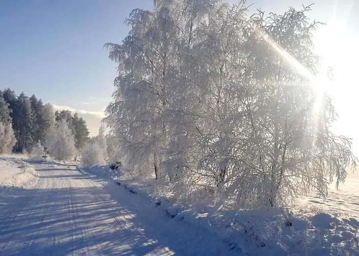 Ostoja Bukowo 12,2 U Szoltesa 度假居 Borowy Mlyn