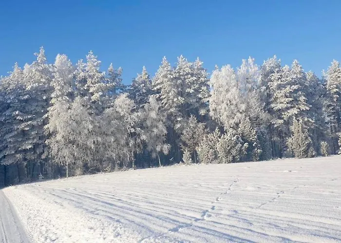 Ostoja Bukowo 12,2 U Szoltesa 度假居 *