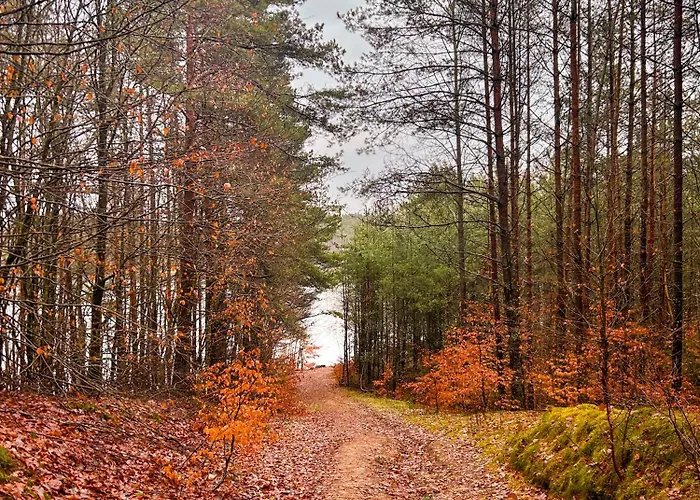 Ostoja Bukowo 12,2 U Szoltesa 度假居 *