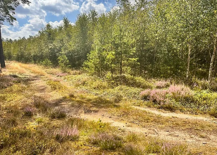 度假居 Ostoja Bukowo 12,2 U Szoltesa *