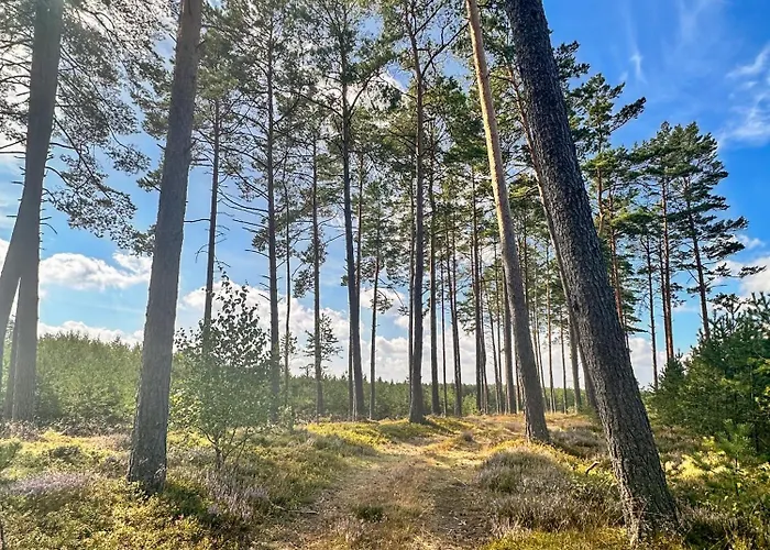 Ostoja Bukowo 12,2 U Szoltesa Borowy Mlyn