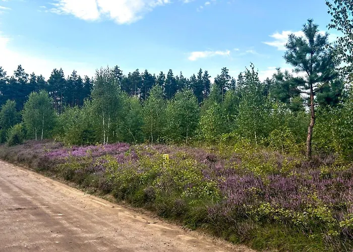 度假居 Ostoja Bukowo 12,2 U Szoltesa *