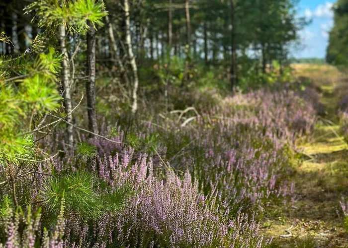 Ostoja Bukowo 12,2 U Szoltesa * Borowy Mlyn